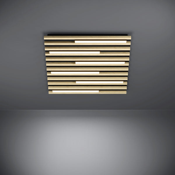 39898 Ambient