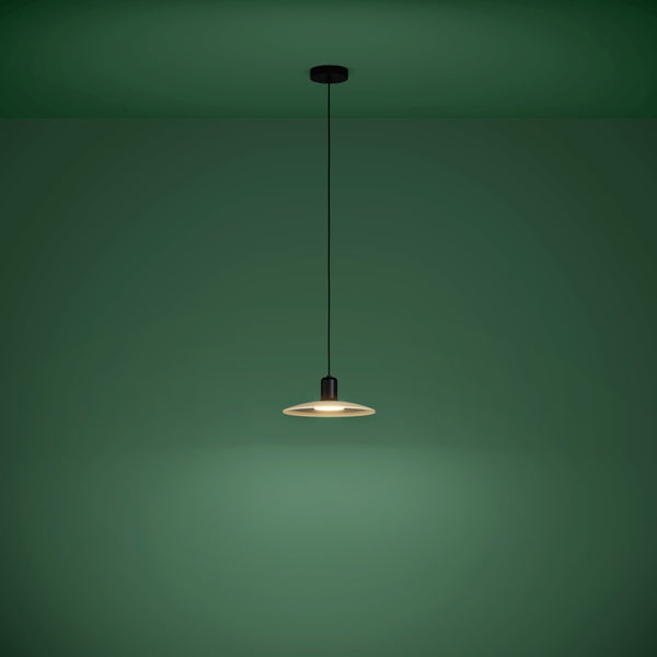39911 Ambient
