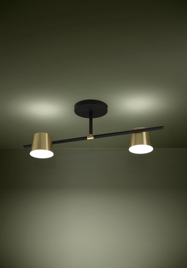 39983 Ambient