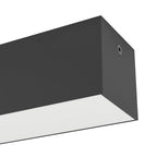 900261 Detail