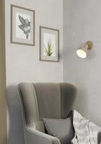 900711 Ambient