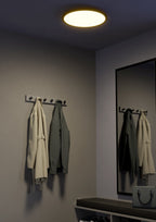900761 Ambient