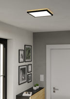 901442 Ambient