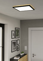 901456 Ambient