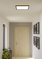 901456 Ambient