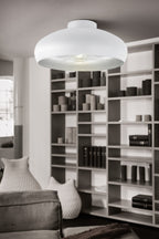 94548 Ambient