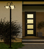 97288 Ambient