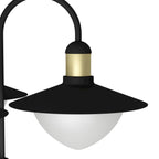 97288 Detail