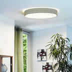 97621 Ambient